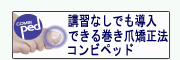 ����ӥڥåɤˤĤ���