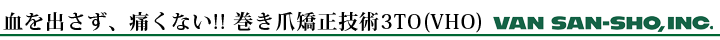 �����޶������� VHO